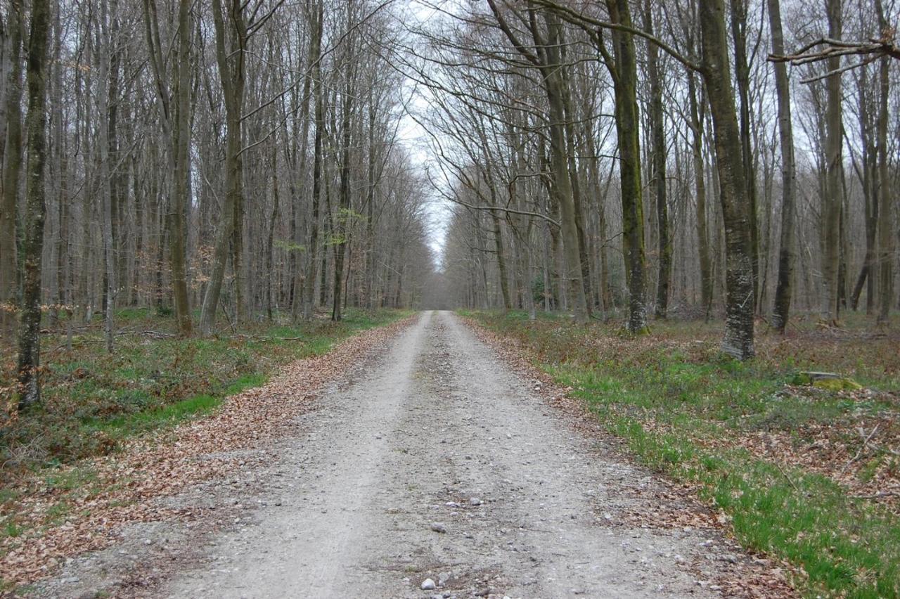 Le Petit Gite De La Varenne Saint-Hellier Екстериор снимка